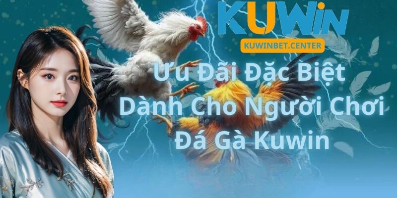 Ưu Đãi Đặc Biệt Dành Cho Người Chơi Đá Gà Kuwin