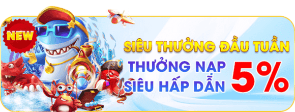 Khuyến Mãi Kuwin