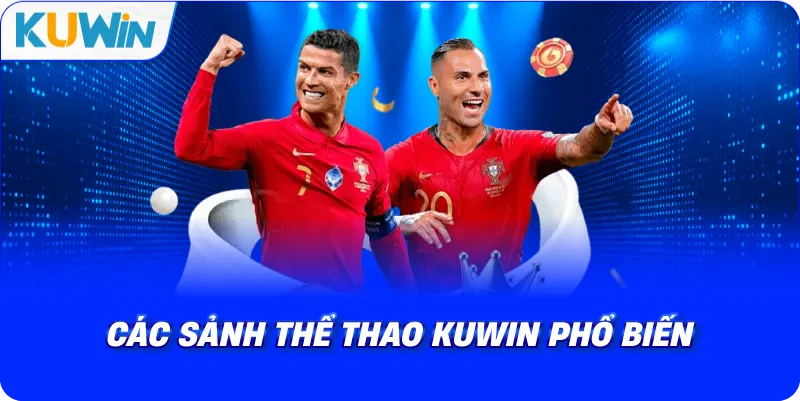 các sảnh thể thao kuwin phổ biến