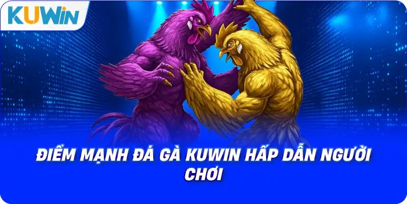 điểm mạnh đá gà kuwin hấp dẫn người chơi