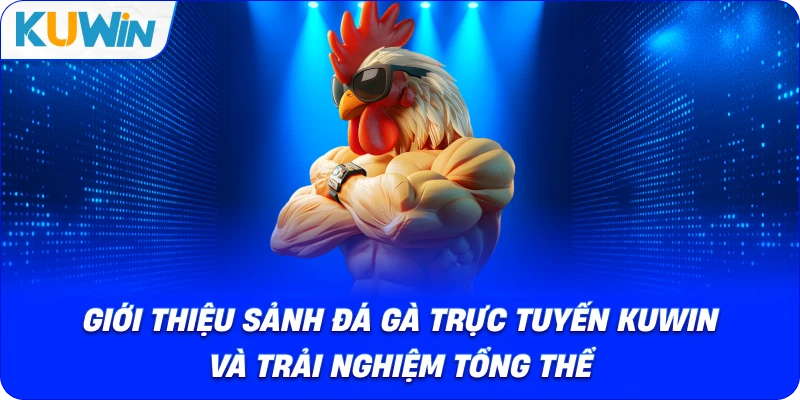 giới thiệu sảnh đá gà trực tuyến kuwin và trải nghiệm tổng thể