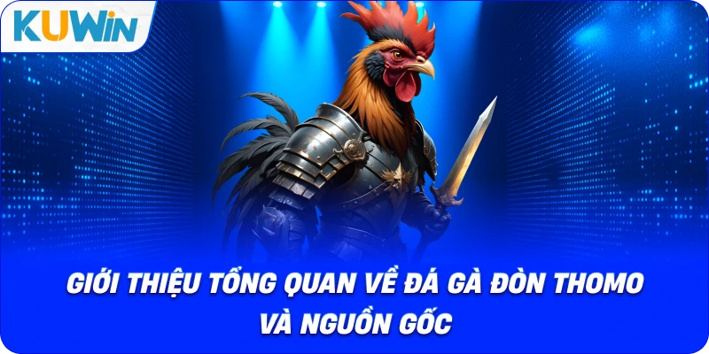 giới thiệu tổng quan về đá gà đòn thomo và nguồn gốc