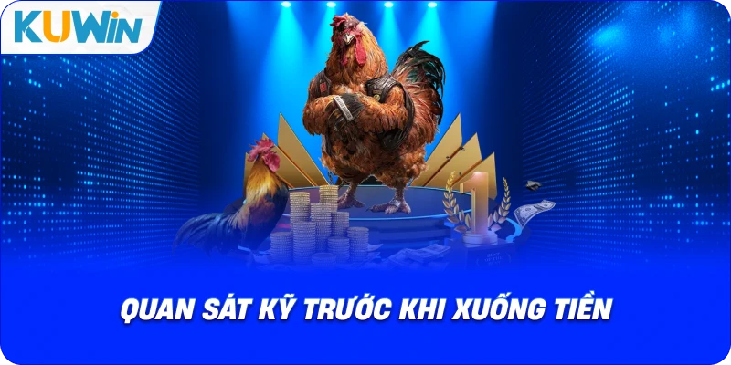 quan sát kỹ trước khi xuống tiền